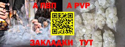 прущие грибы Усть-Илимск