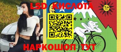 прущие грибы Усть-Илимск