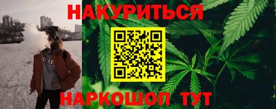 прущие грибы Усть-Илимск