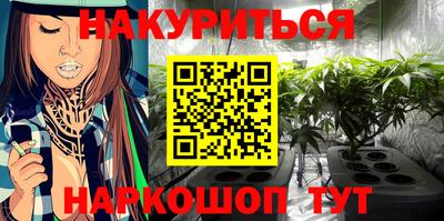 прущие грибы Усть-Илимск