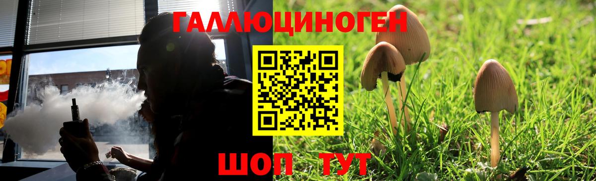 как найти закладки  Вход с VPN  Брянск  Галлюциногенные грибы GOLDEN TEACHER 